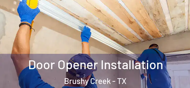  Door Opener Installation Brushy Creek - TX