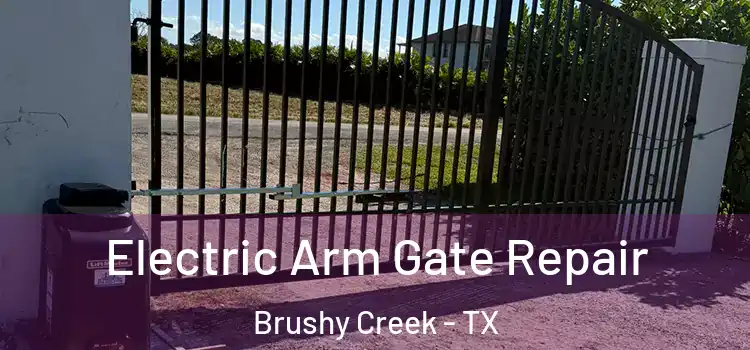  Electric Arm Gate Repair Brushy Creek - TX