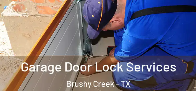Garage Door Lock Services Brushy Creek - TX