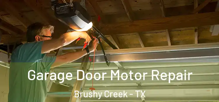  Garage Door Motor Repair Brushy Creek - TX