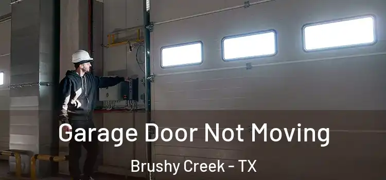  Garage Door Not Moving Brushy Creek - TX