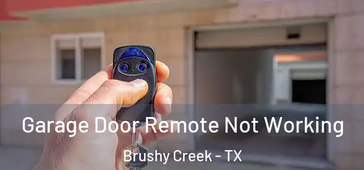  Garage Door Remote Not Working Brushy Creek - TX