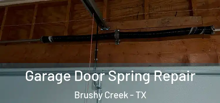  Garage Door Spring Repair Brushy Creek - TX