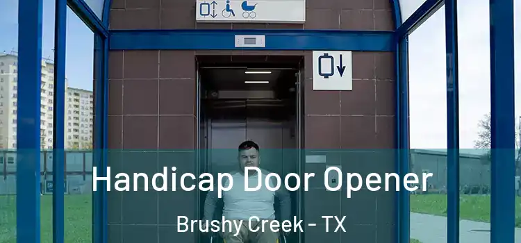 Handicap Door Opener Brushy Creek - TX