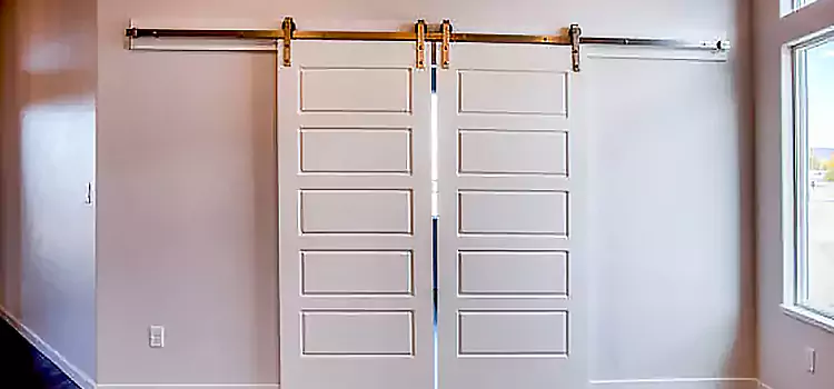 Glass Barn Door with Installation Hardware Kit Brushy Creek