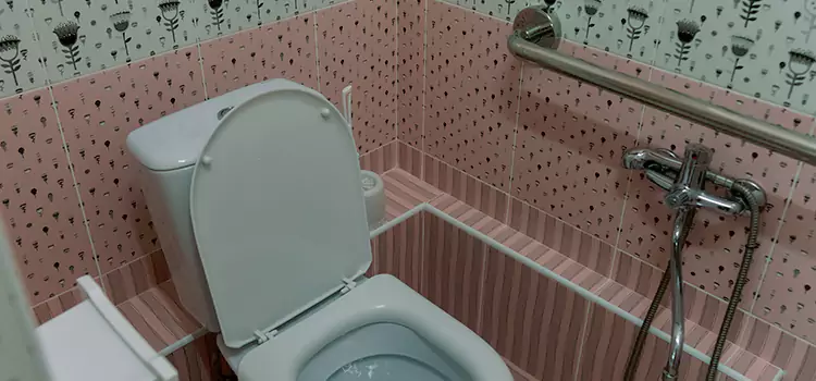 Meeting Diverse Needs With Accessible Restroom Solutions in Brushy Creek, TX