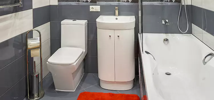 Hansgrohe Shaving Mirror Brushy Creek