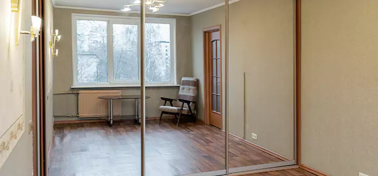 Mirror Closet Door Roller Replacement Brushy Creek