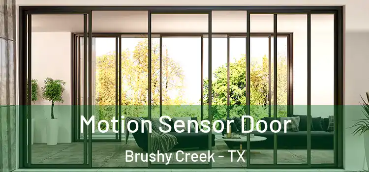 Motion Sensor Door Brushy Creek - TX